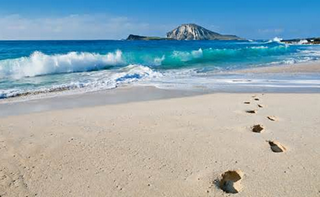 After romping in the waves, I have a brilliant idea … heading to take action