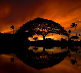 The power of this sky and the serenity of the water meet and I feel strong and calm