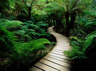 This is a path I would like to walk … peaceful … heading in the perfect direction